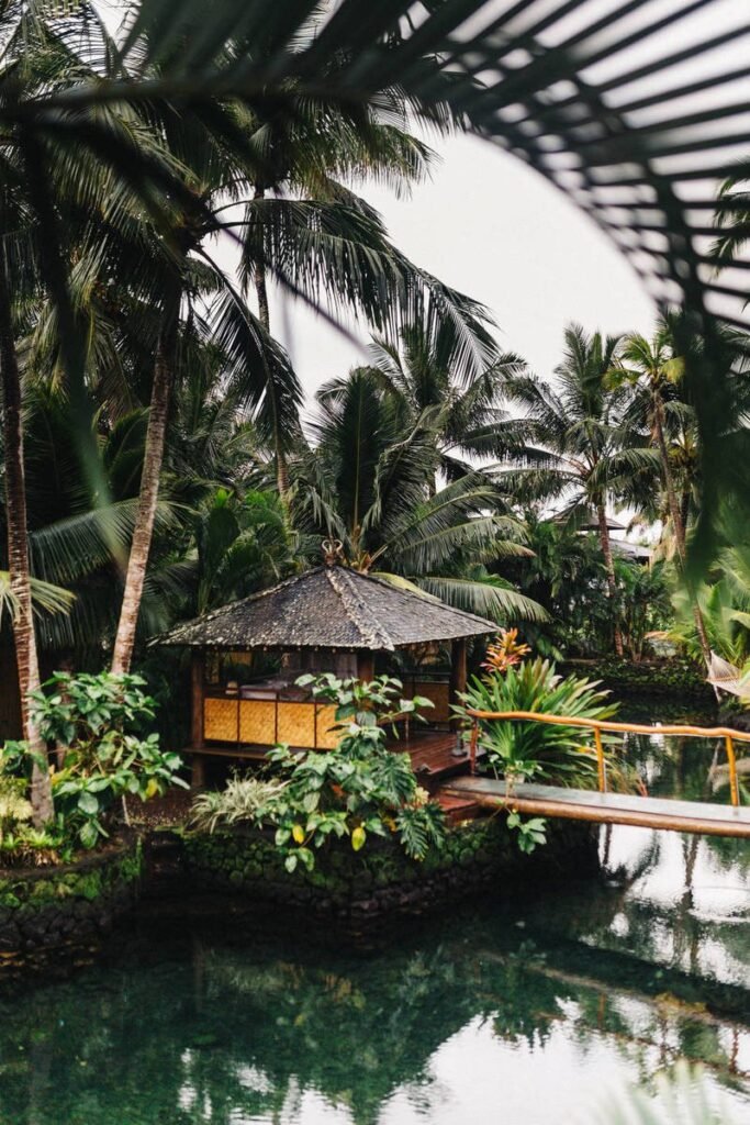 Welcome to the Future of WordPress with Gutenberg